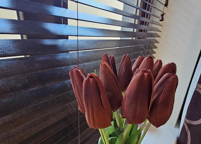 Appartement Poachers Lock *